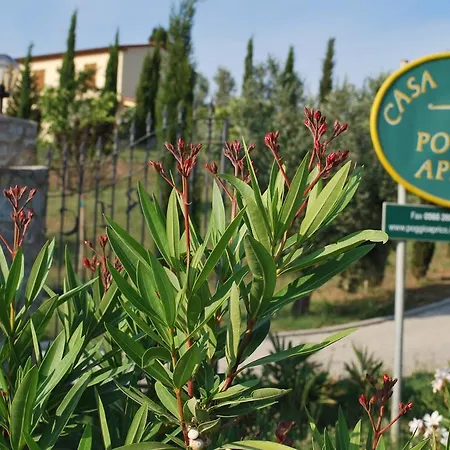 Apartment Casa Vacanze Poggio Aprico
